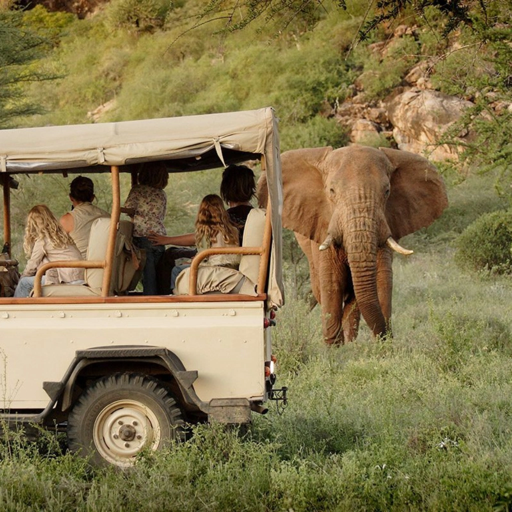 10 Days Joy Adamson's Safari Attractions