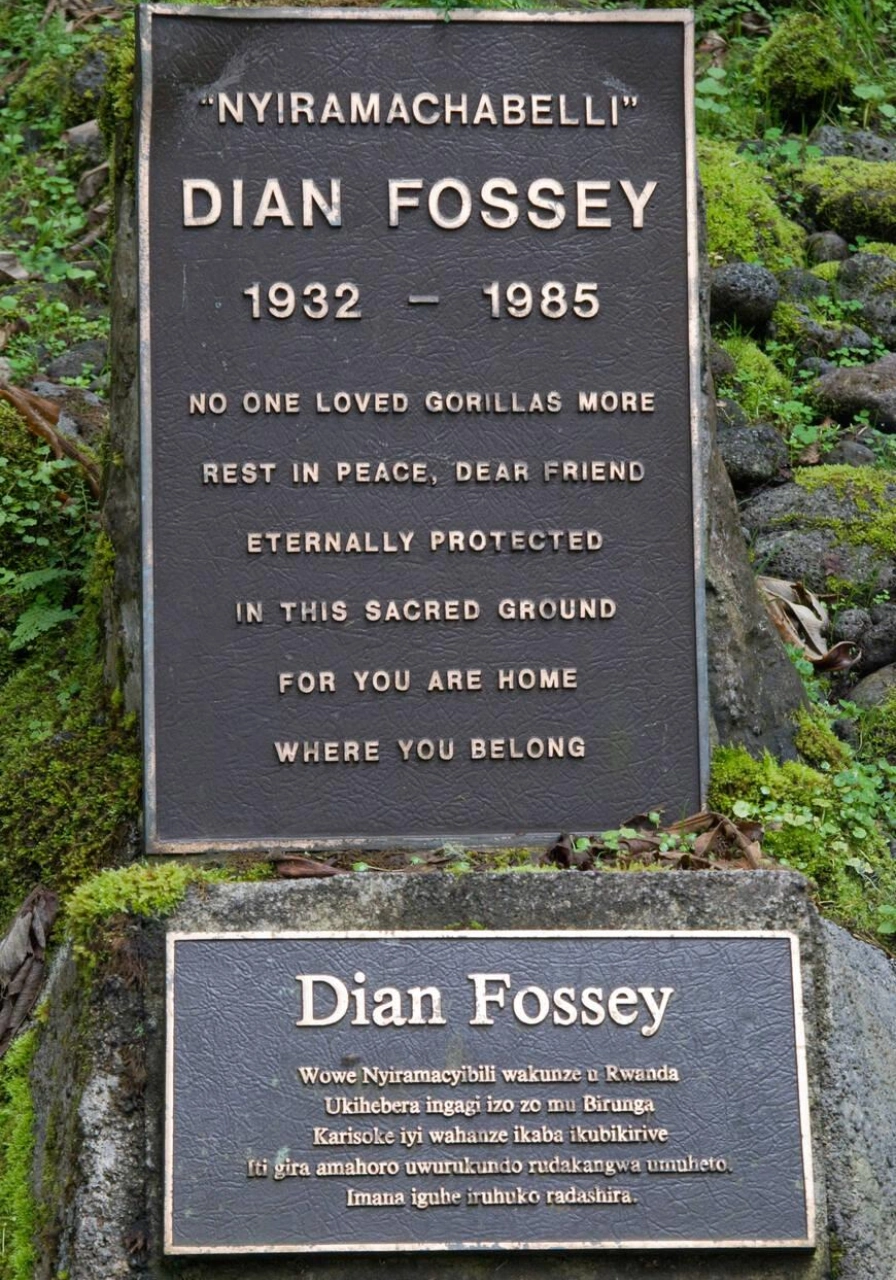 3 Days Dian Fossey Footsteps Attractions