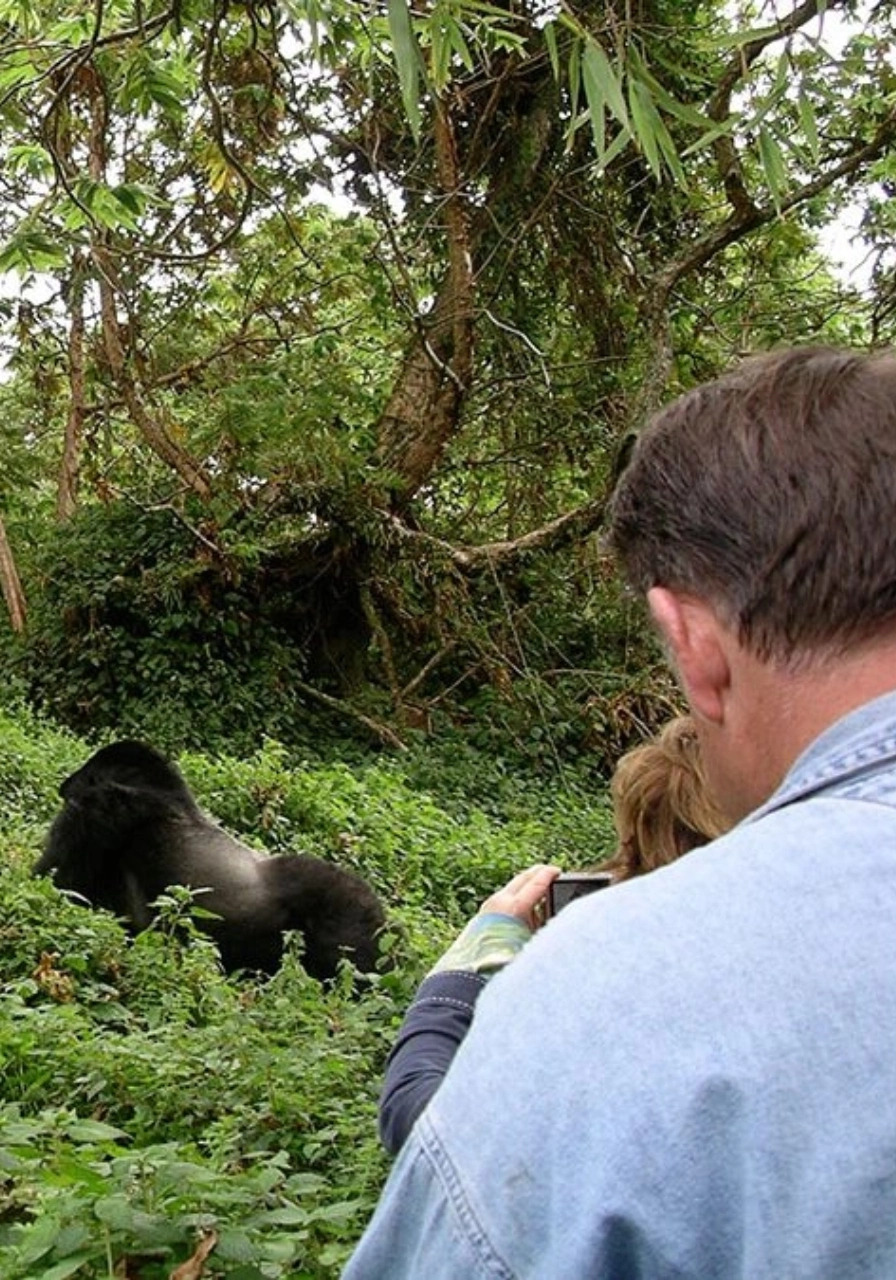 3 Days Dian Fossey Footsteps Attractions