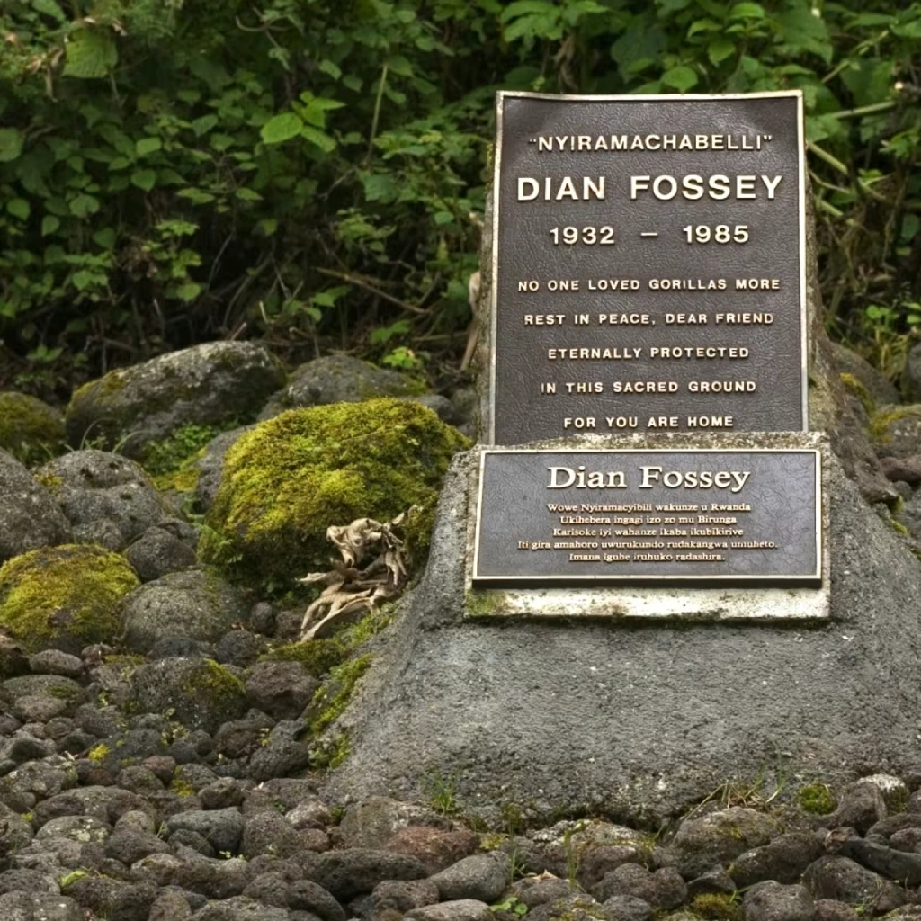 3 Days Dian Fossey Footsteps Attractions