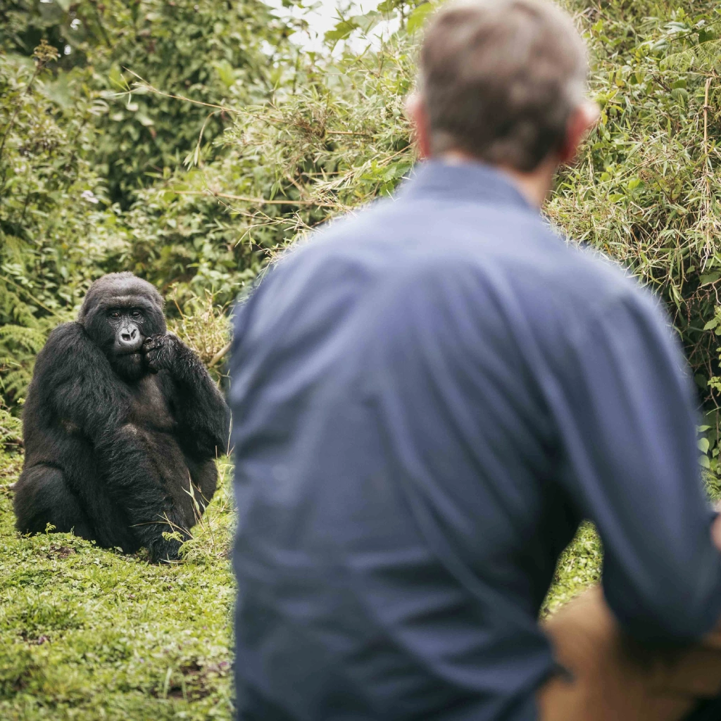 3 Days Dian Fossey Footsteps Attractions