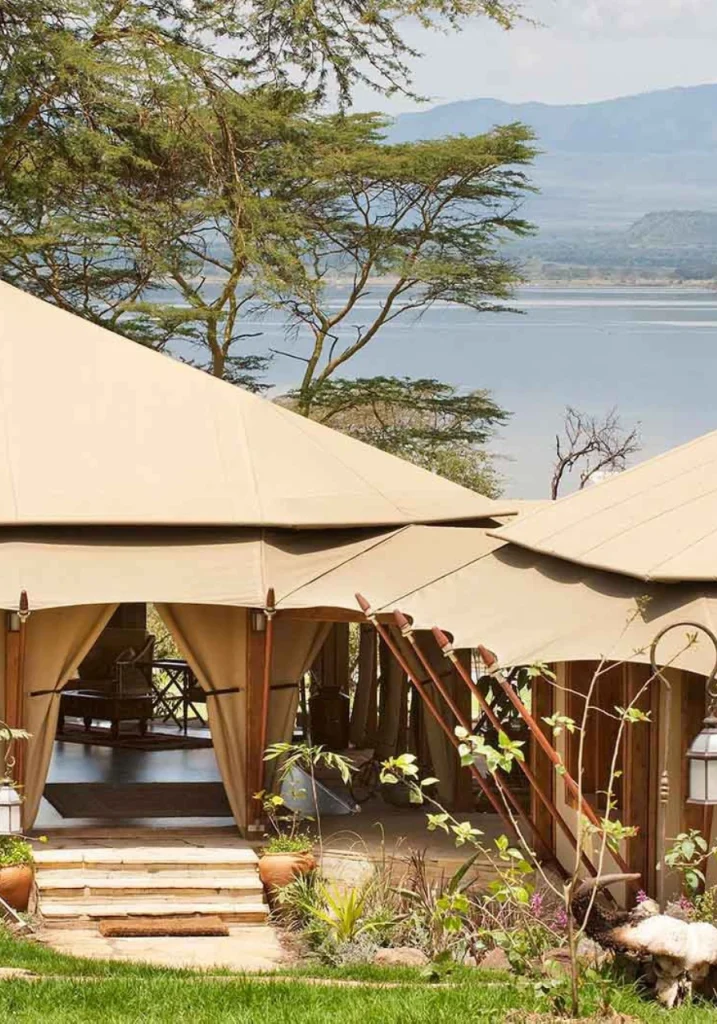 3 Days Lake Elementaita Safari to Serena Hotel Attractions