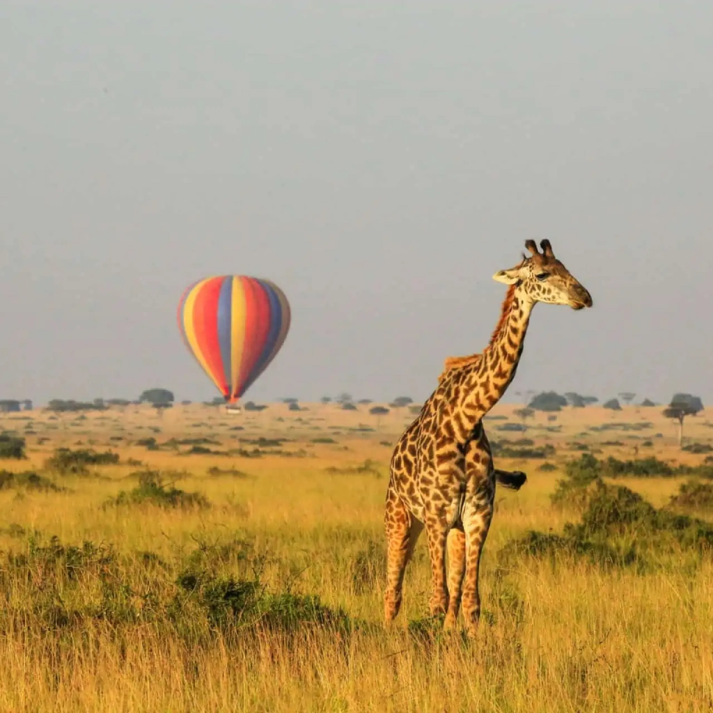 3 Days Masai Mara Safari Attractions