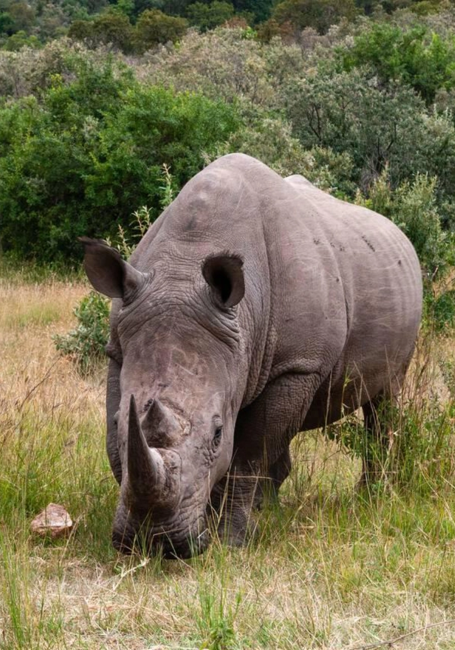 3 Days Masai Mara Safari Attractions