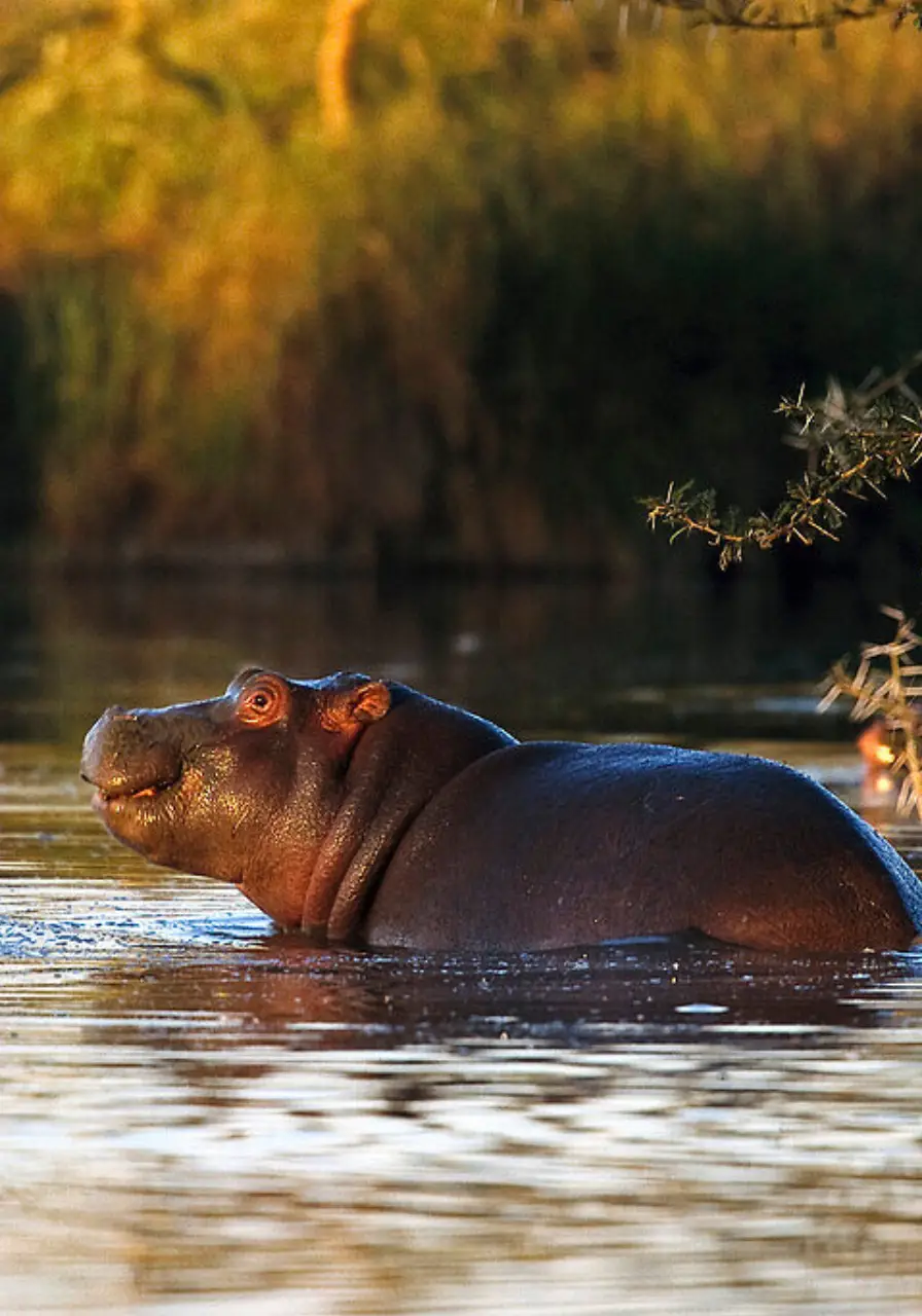 3-days-ngorongoro-manyara-safaris-2