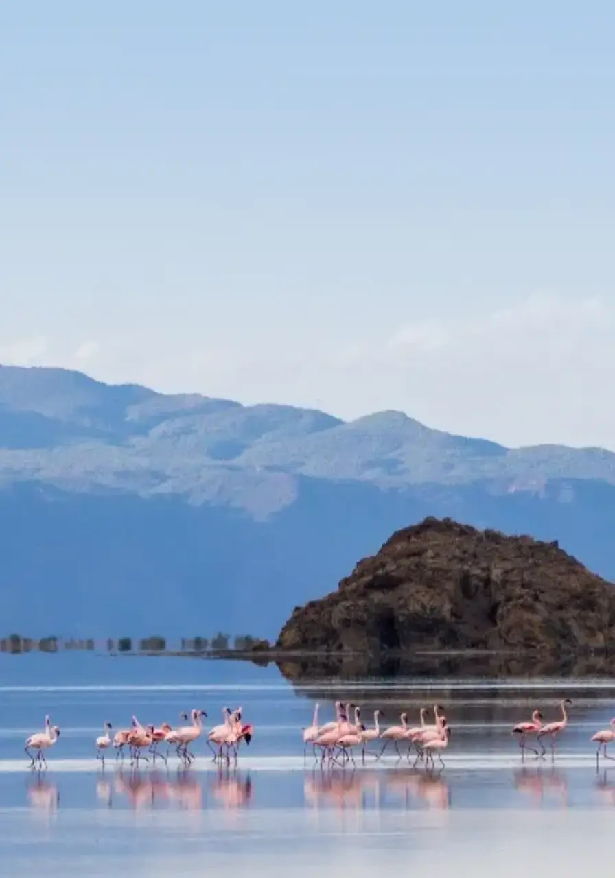 3-days-ngorongoro-manyara-safaris-4