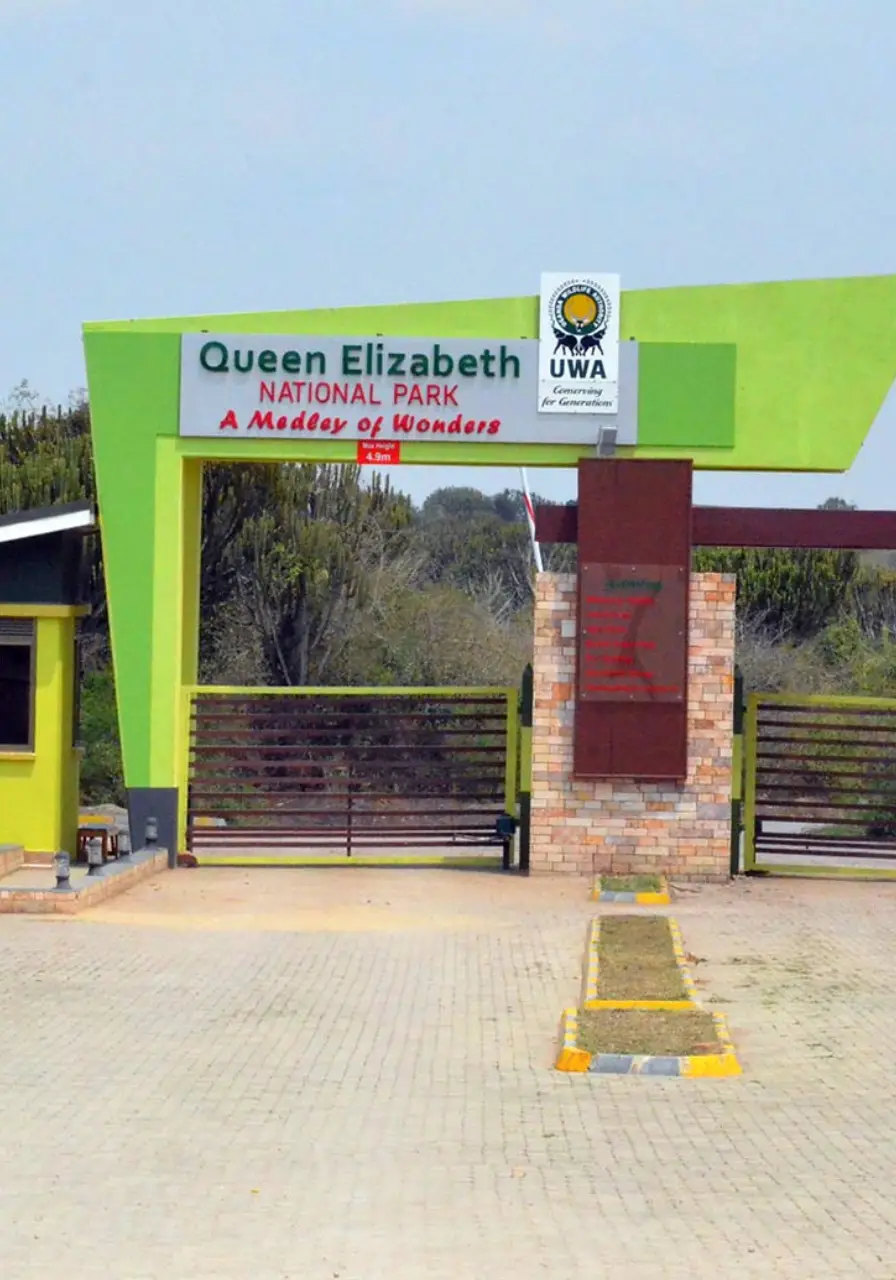 3-days-queen-elizabeth-safari-5