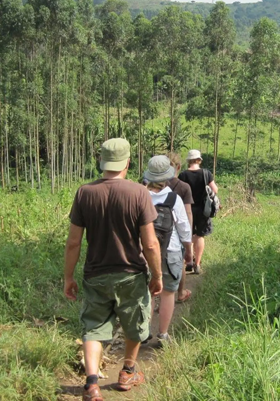 3-days-queen-elizabeth-safari-6