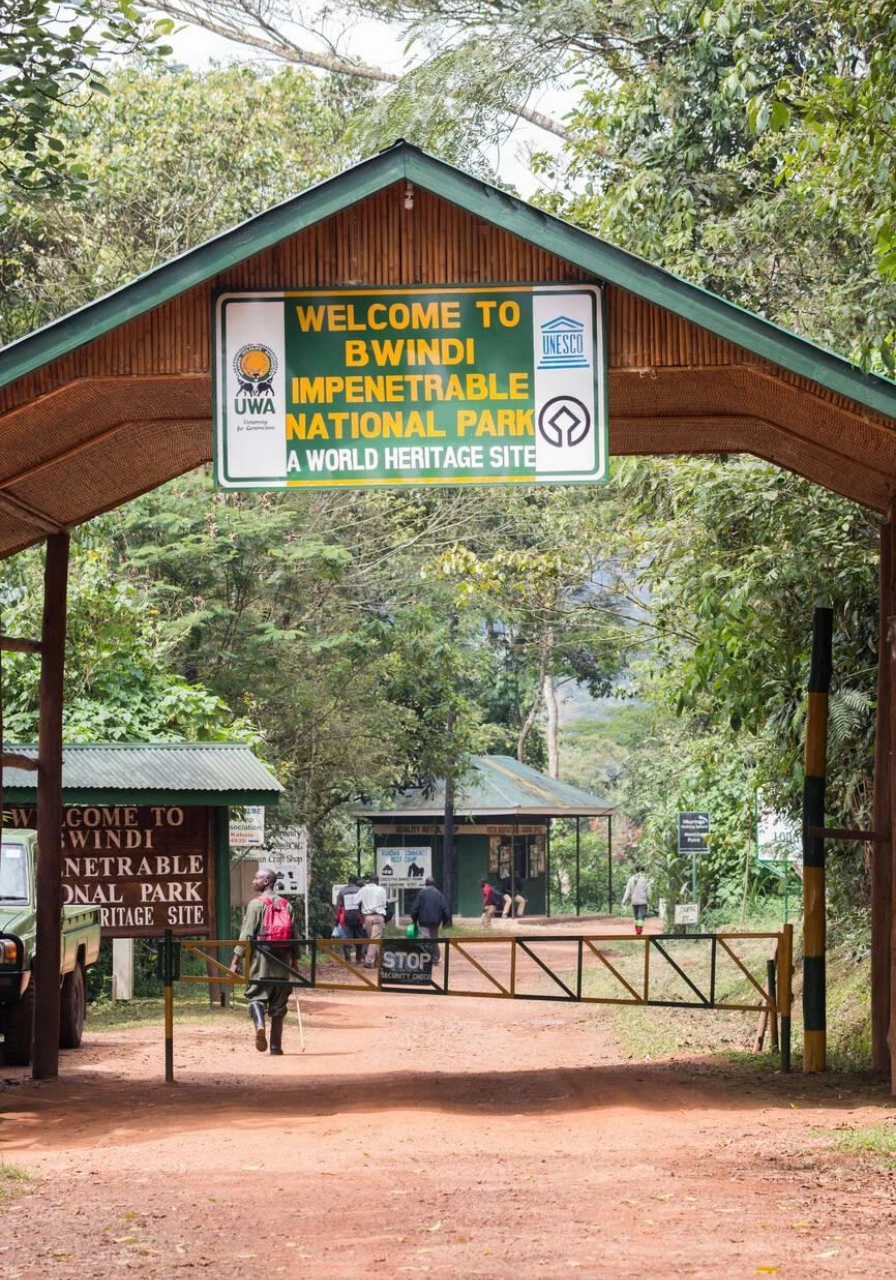 4 Days Drive Gorilla Safari Attractions