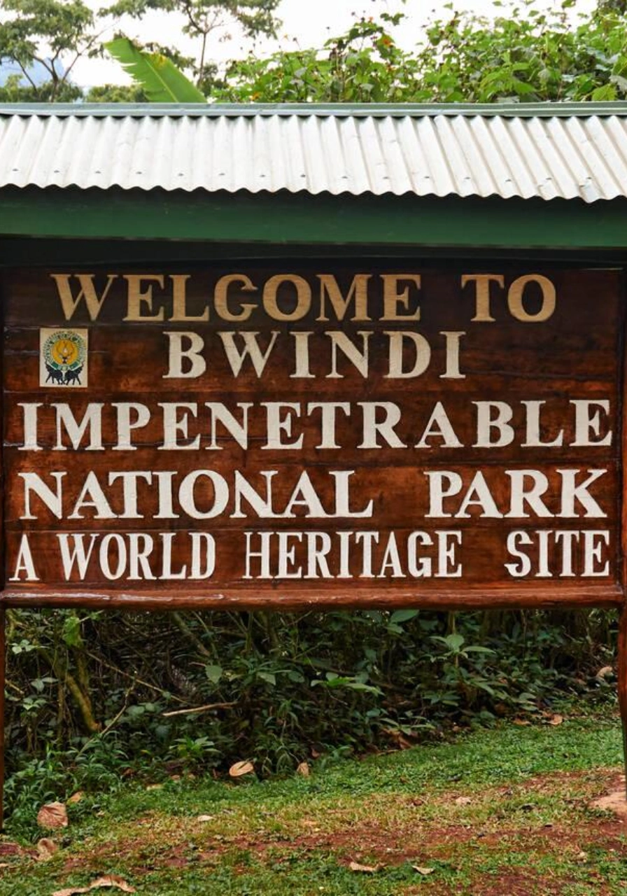 4 Days Drive Gorilla Safari Attractions