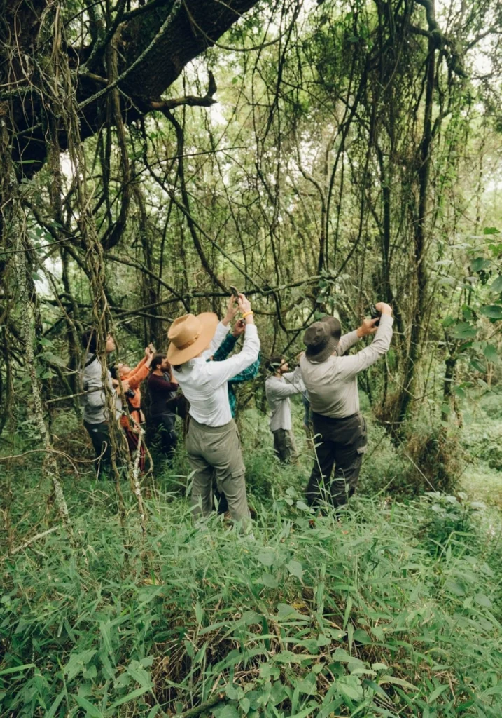 4 Days Drive Gorilla Safari Buhoma Attractions