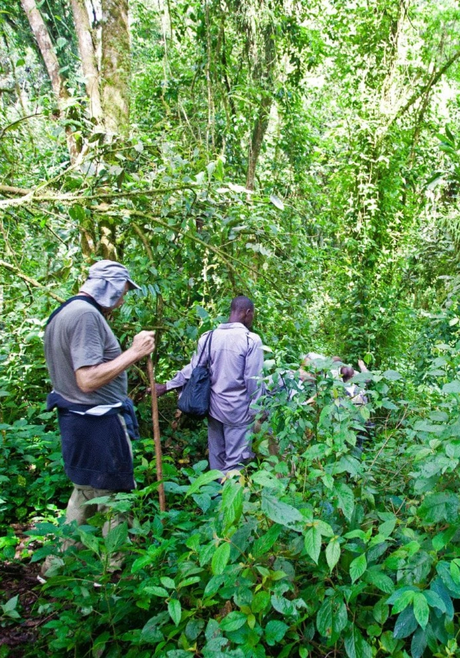 4 Days Drive Gorilla Safari Buhoma Attractions