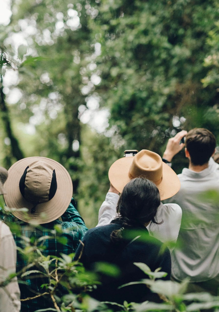 4 Days Drive Gorilla Safari Buhoma Attractions