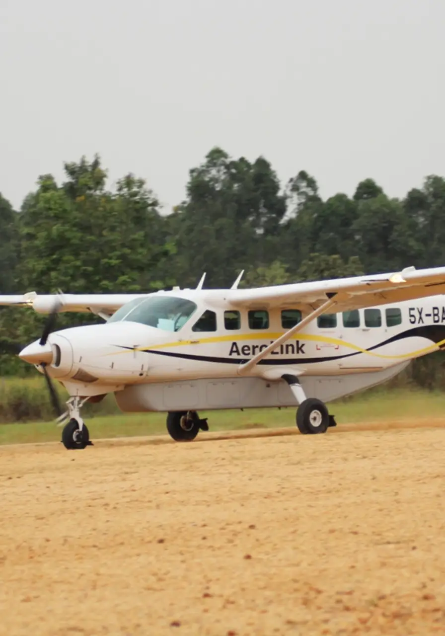 4-days-fly-in-gorilla-safari-3