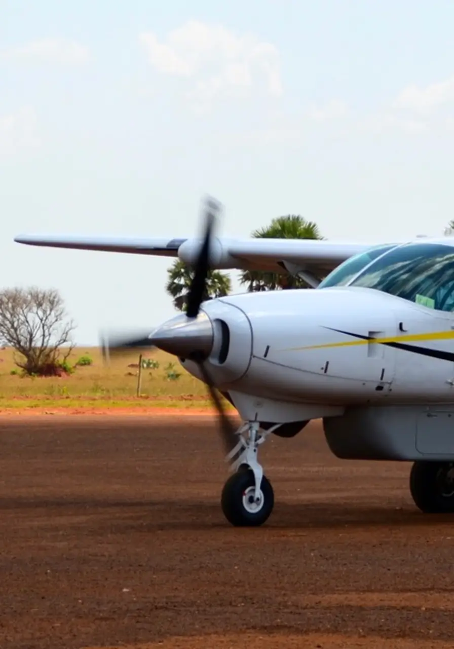 4-days-fly-in-gorilla-safari-5