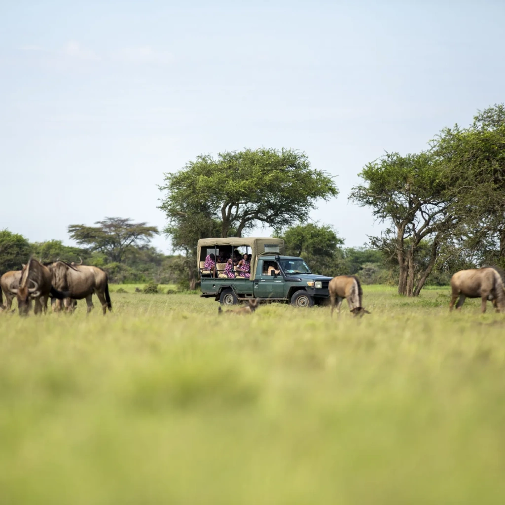 4 Days Masai Mara Safari