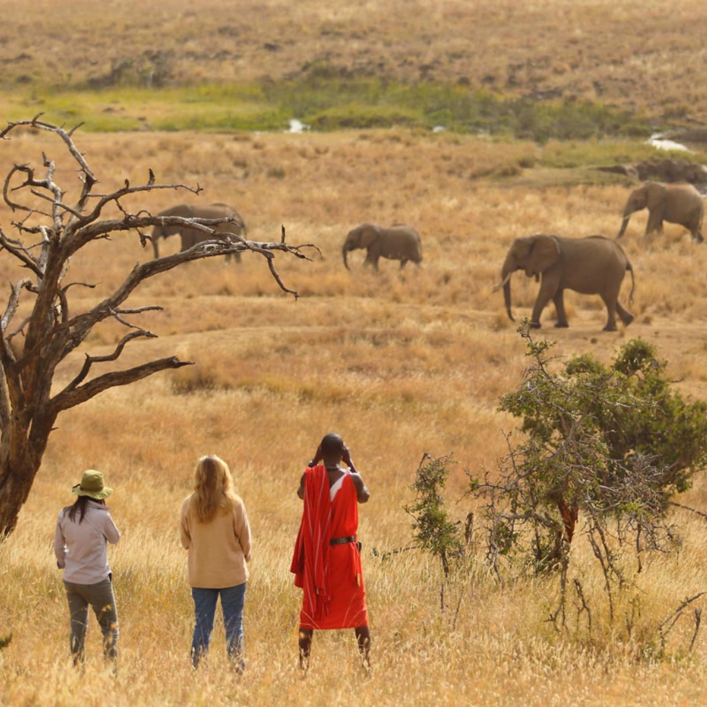 4 Days Wildlife Safari to Masai Mara