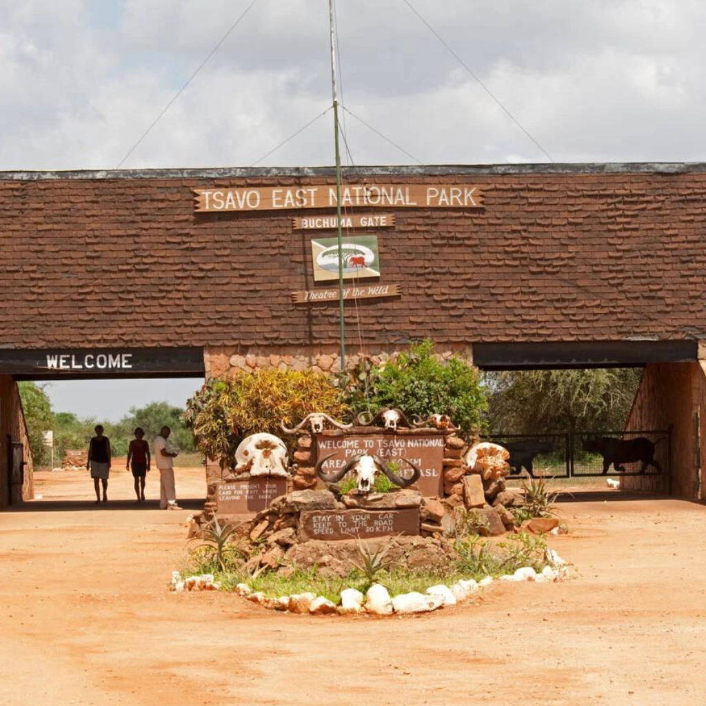 5 Days Amboseli Safari Tsavo east