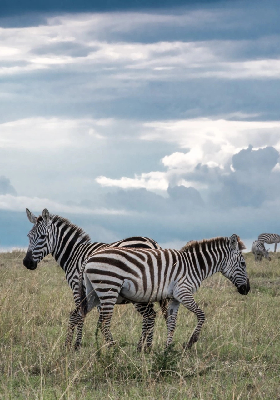5 Days Amboseli Safari Attractions