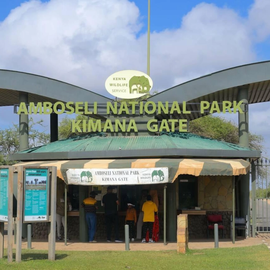 5 Days Amboseli Safari