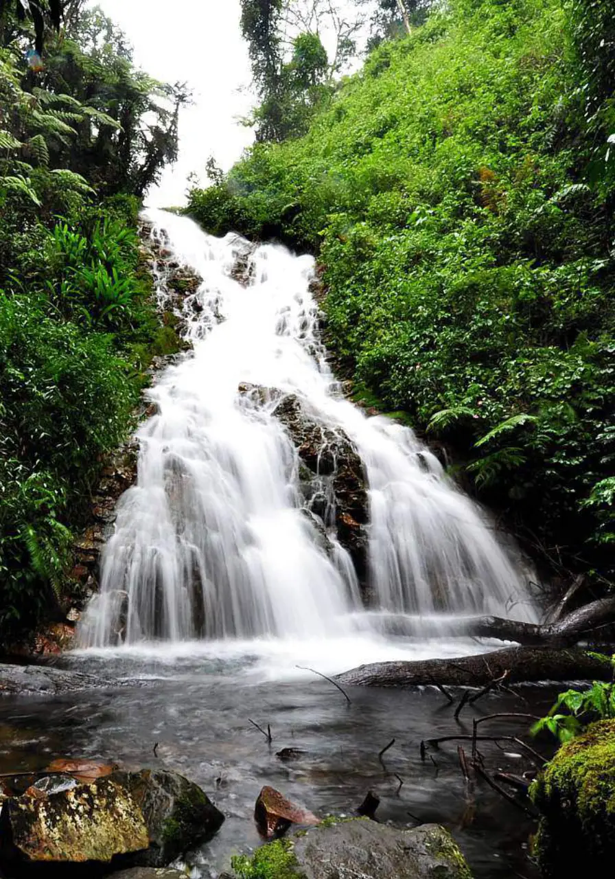 5-days-bwindi-gorillas-and-kibale-chimps-safari-4