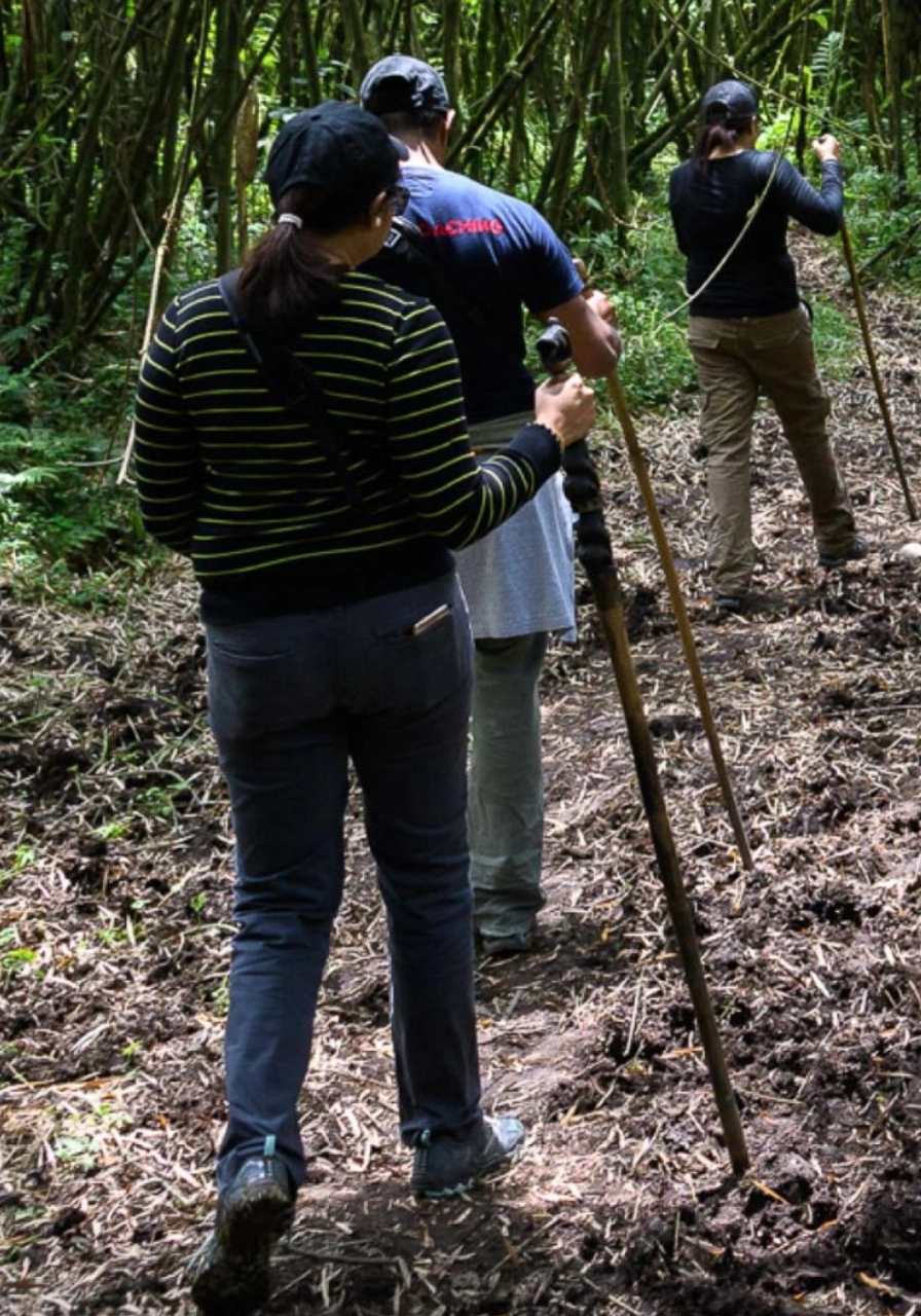 5 Days Golden Monkeys & Chimps Tours Attractions