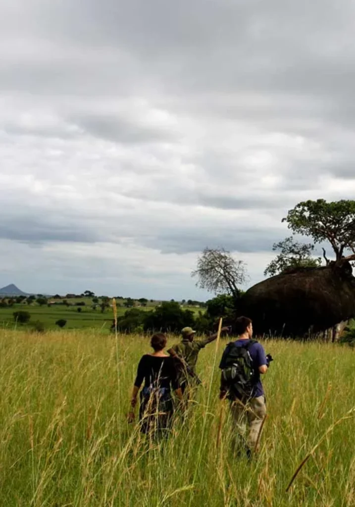5 Days Kidepo Valley Experience Attractions