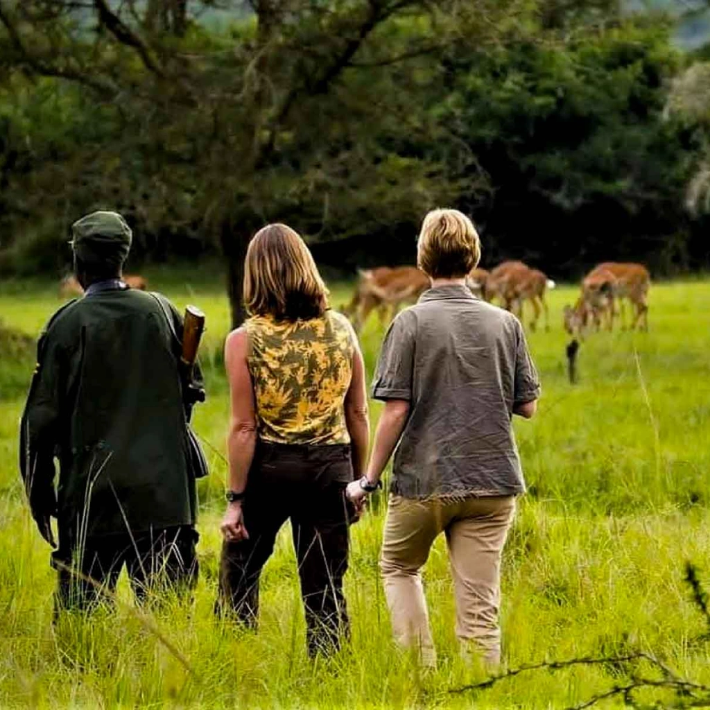 5 Days Lake Mburo National Park Safari Attractions