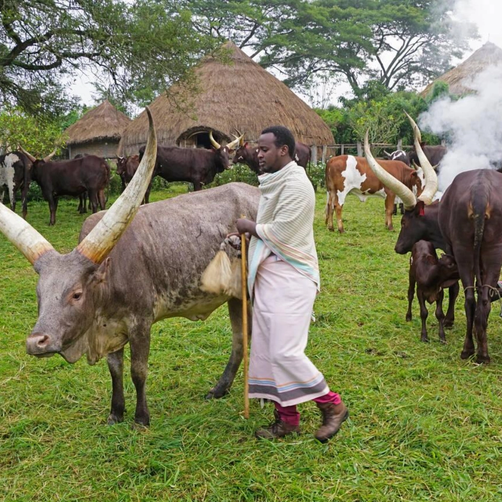 5 Days Lake Mburo National Park Safari Attractions