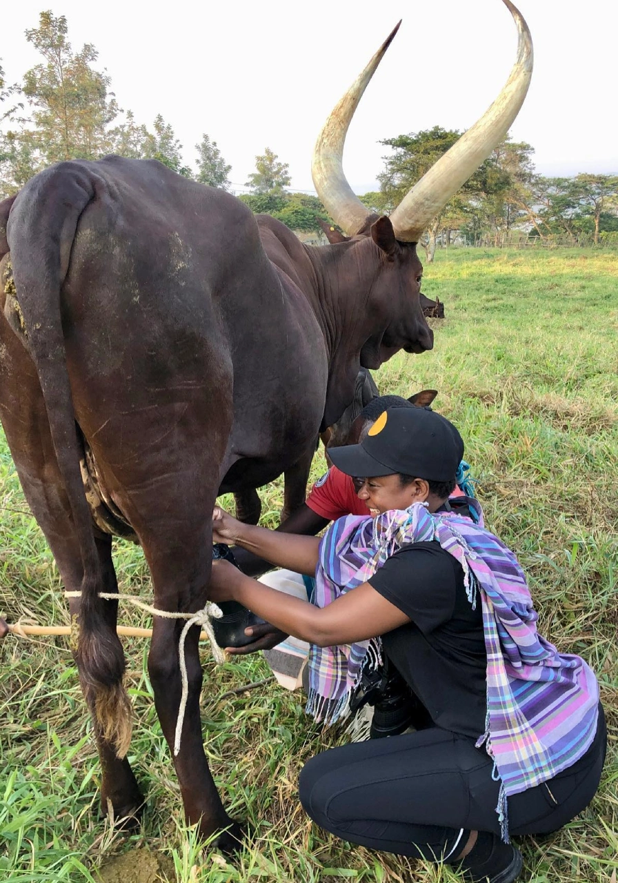 5 Days Lake Mburo National Park Safari Attractions