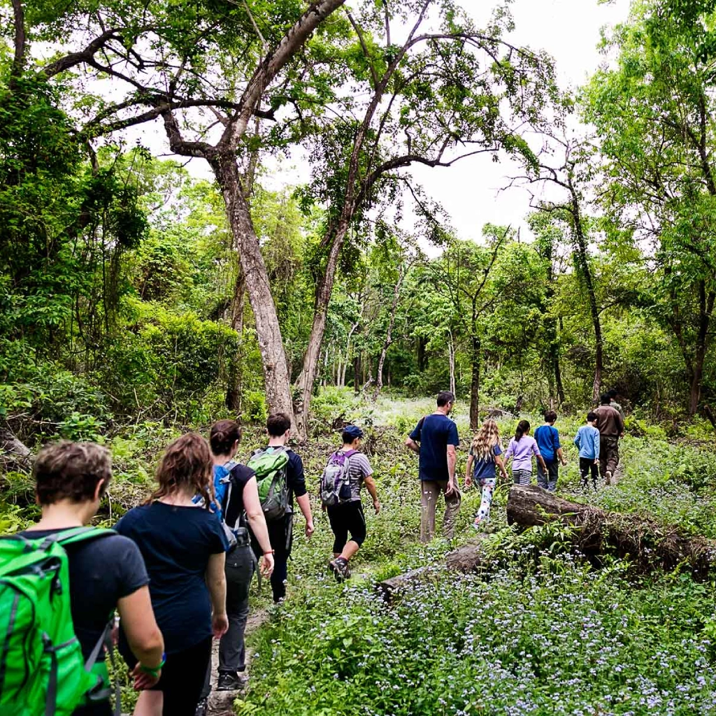 5 Days Nyungwe Forest Chimps Experience Nature Walk