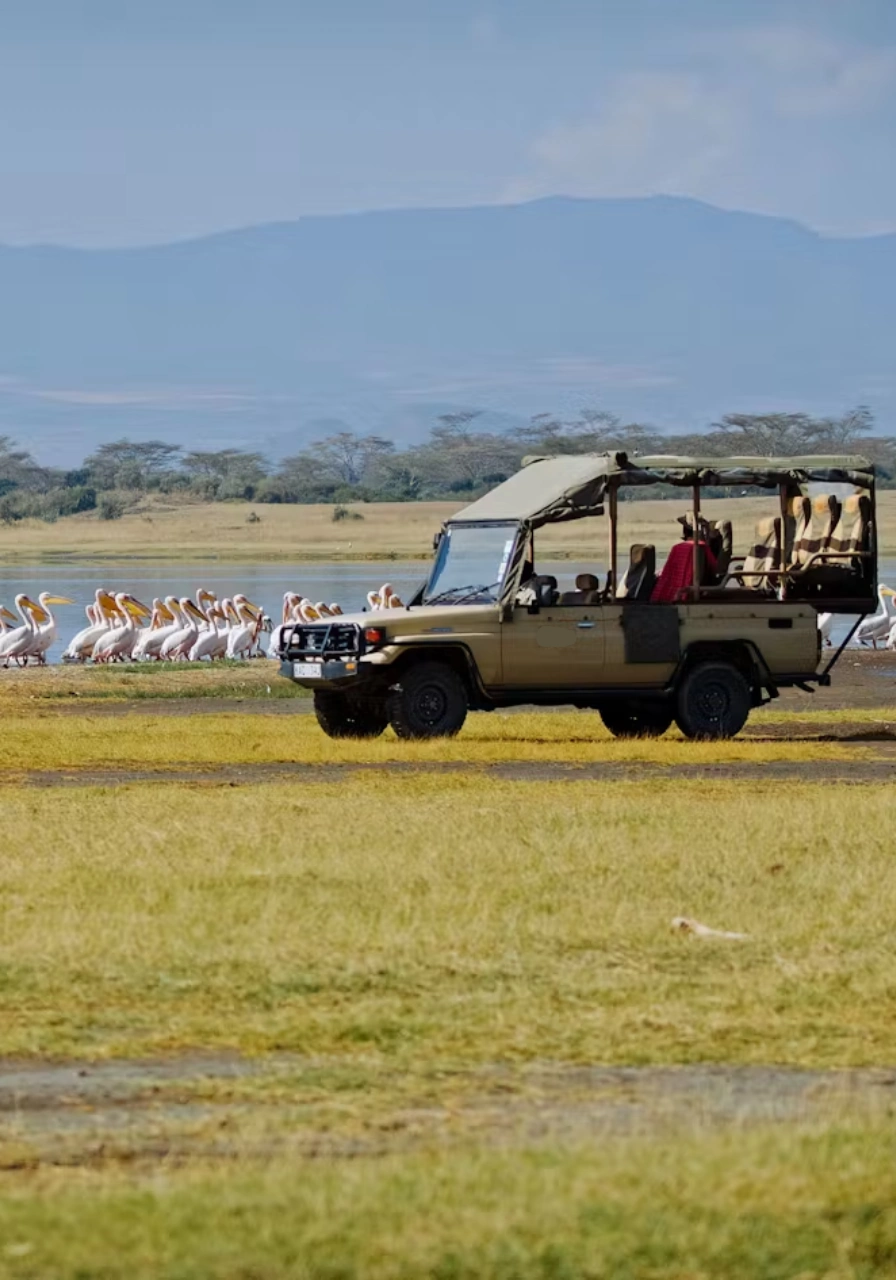 6 Days Kenya Plains Safaris Attractions