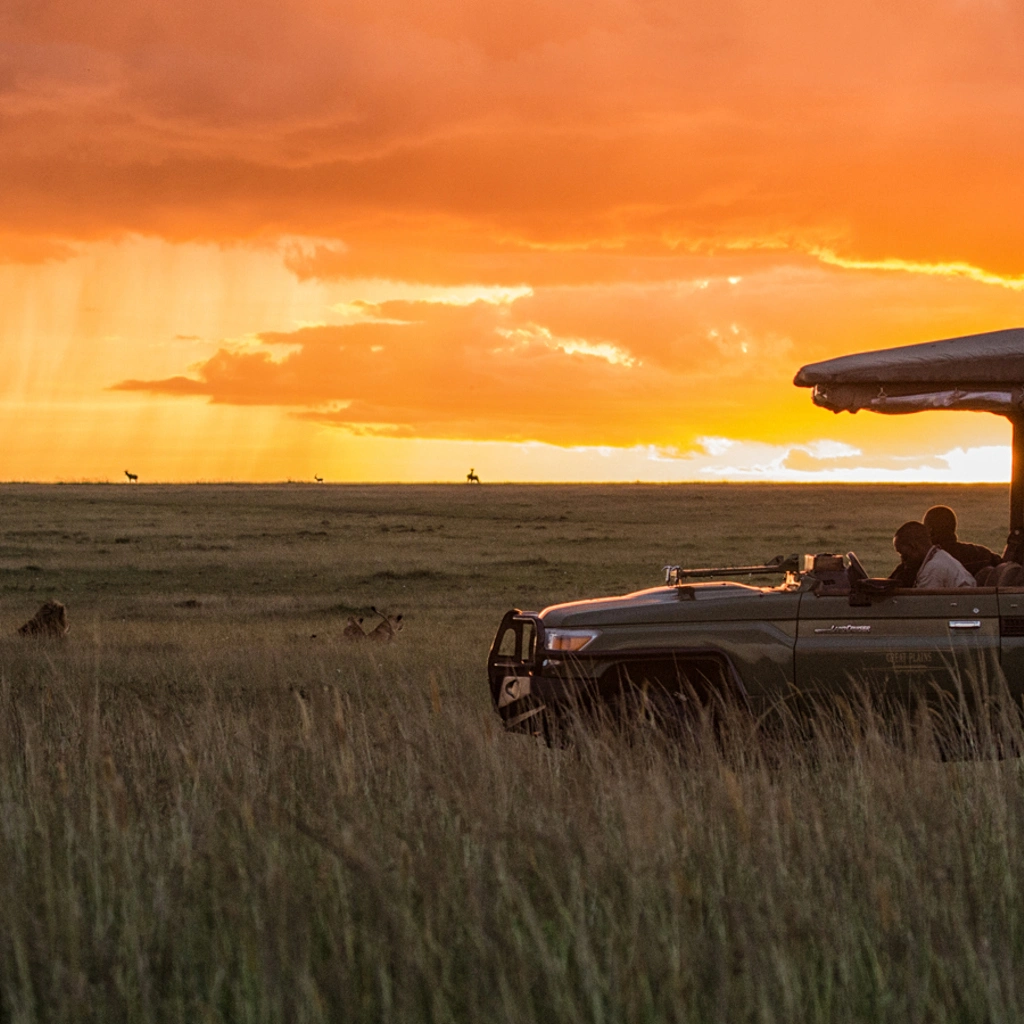 6 Days Kenya Plains Safaris Gamedrive