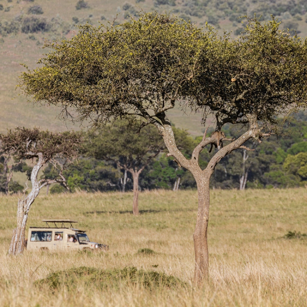 6 Days Kenya Plains Safaris Gamedrive