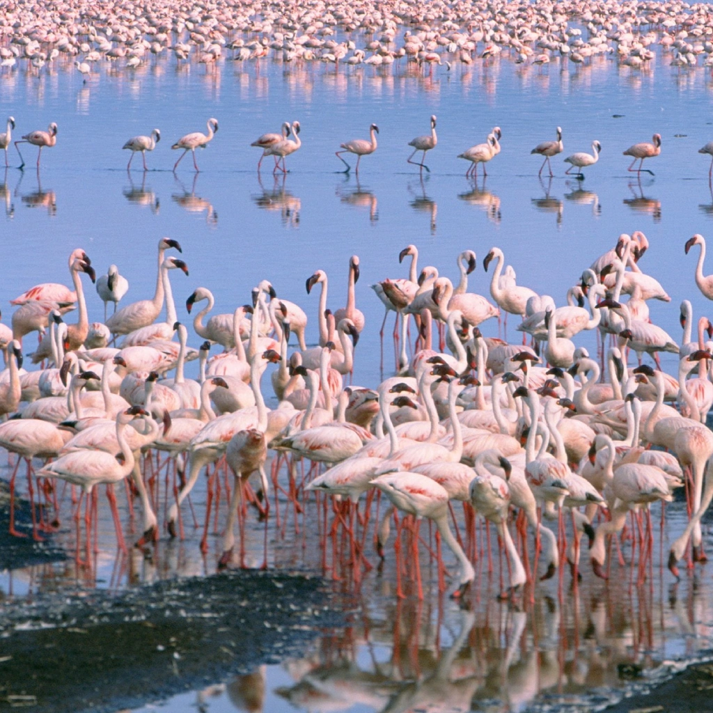 6 Days Kenya Plains Safaris Attractions