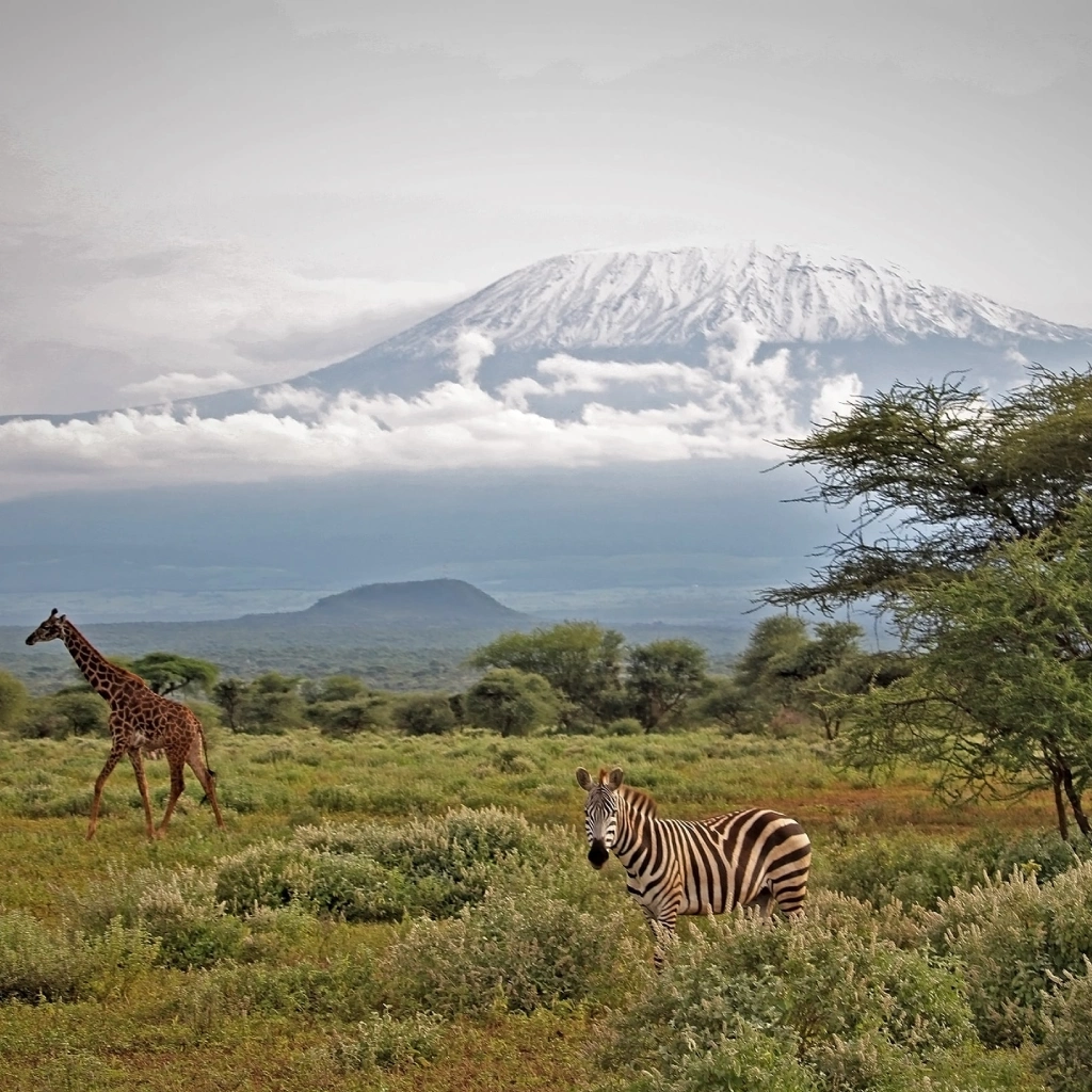6 Days Masai Mara Safari Wildlife