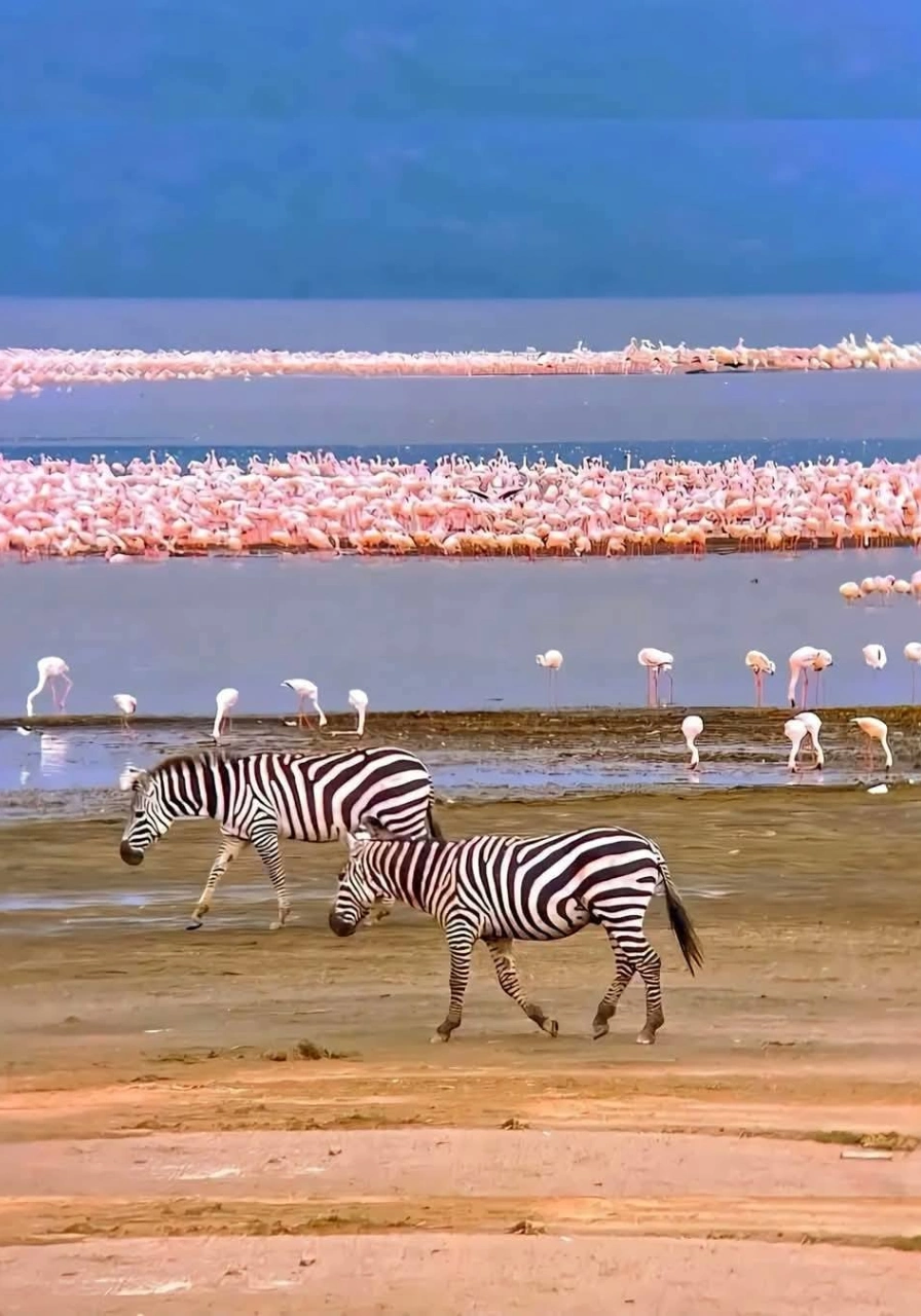 6 Days Masai Mara Safari Attractions