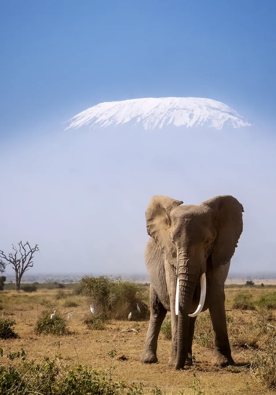 6 Days Masai Mara Safari Attractions