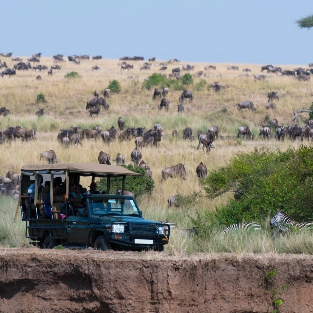 6 Days Masai Mara Safari Gamedrive