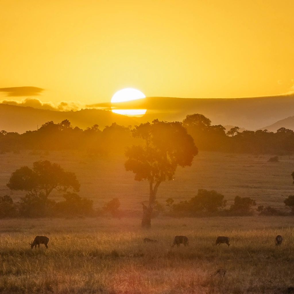 6 Days Migration Trail Safari Attractions