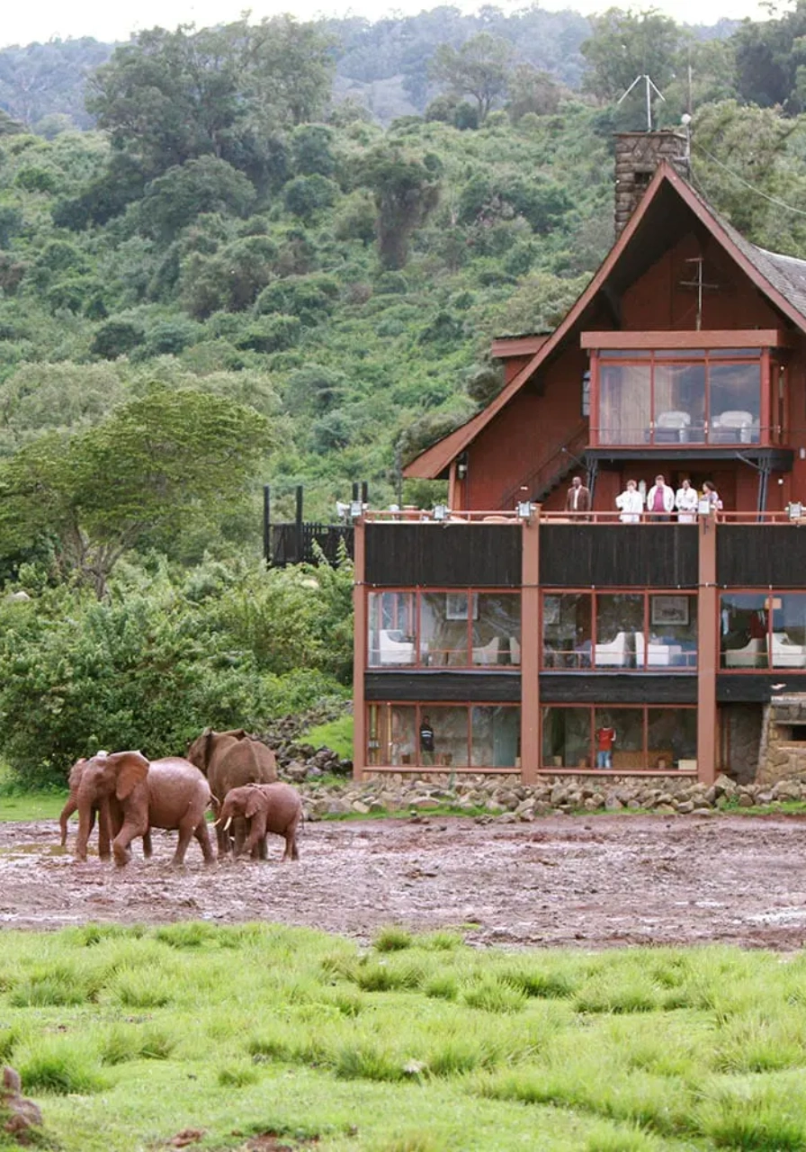 6 Days Migration Trail Safari Attractions