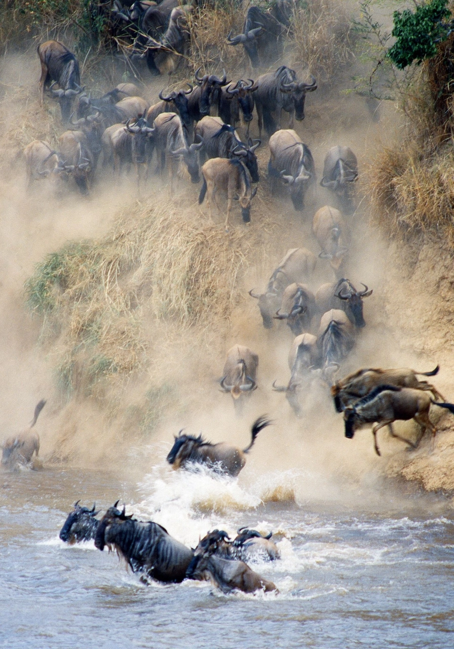 6 Days Migration Trail Safari Attractions