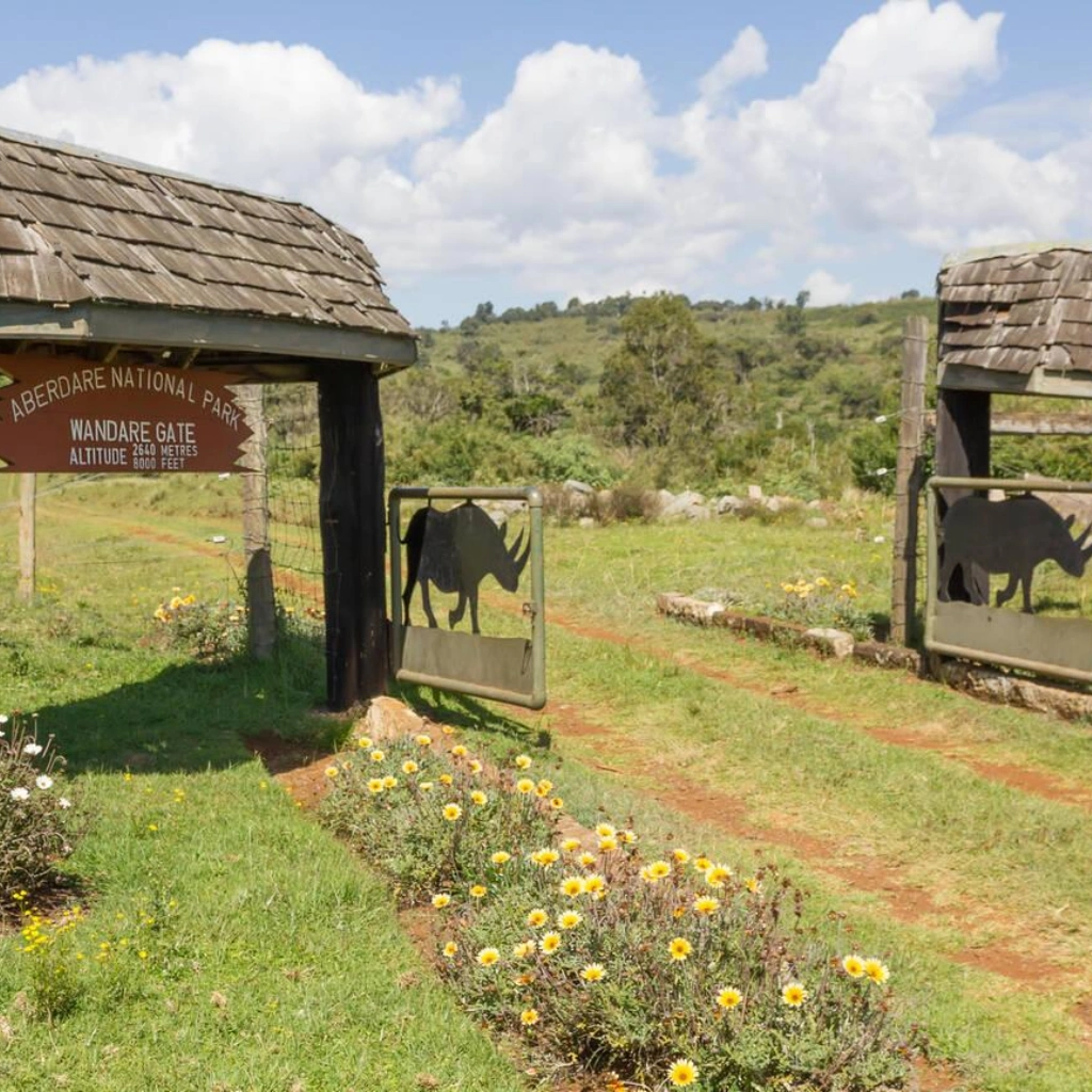 6 Days Migration Trail Safari Attractions