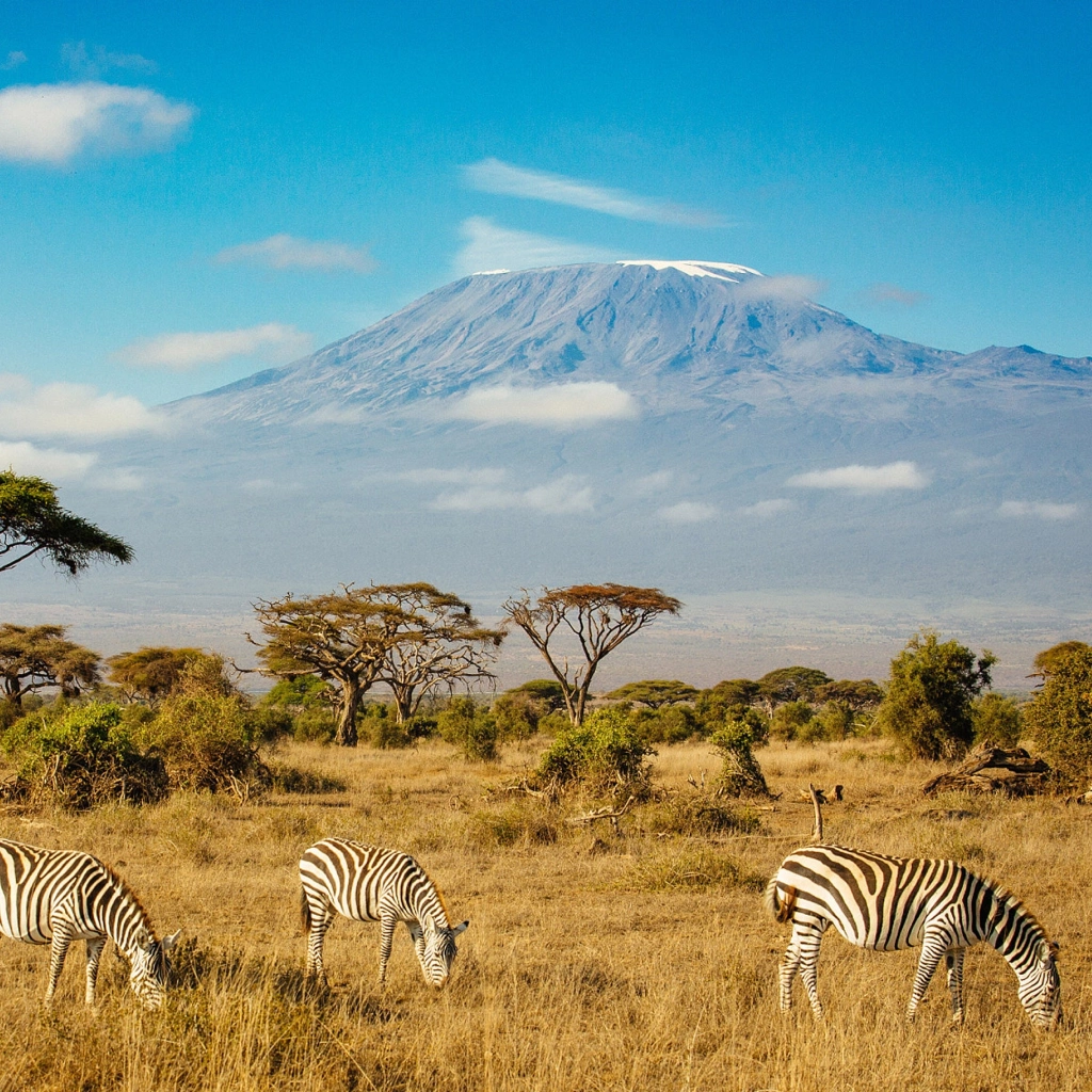 7 Days Amboseli Safari Wildlife