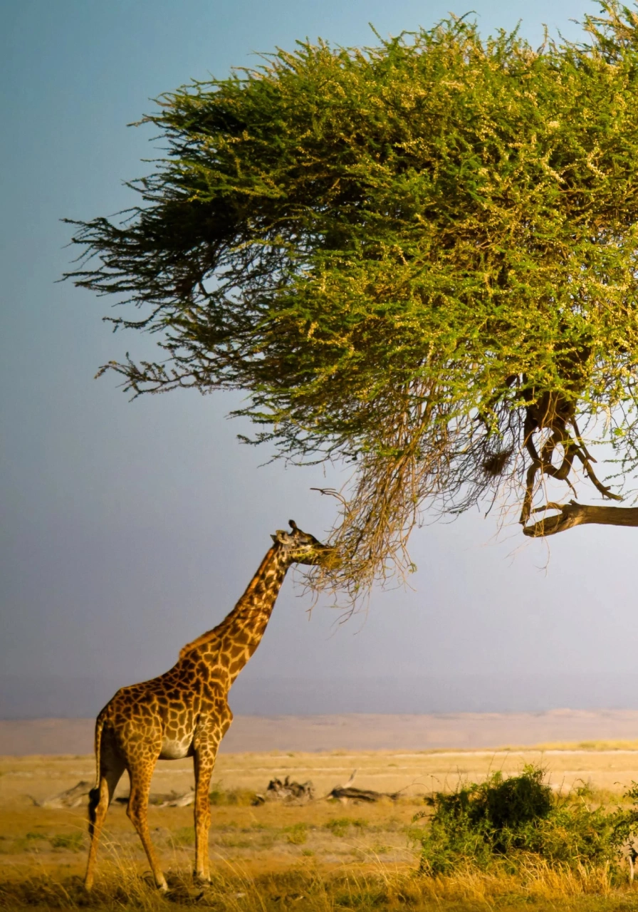 7 Days Samburu Safari Attractions