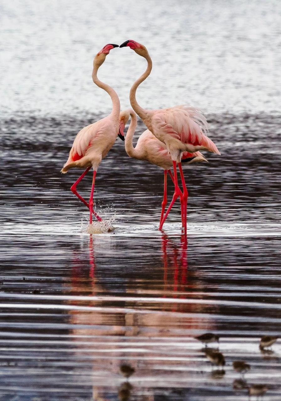 7 Days Samburu Safari Attractions