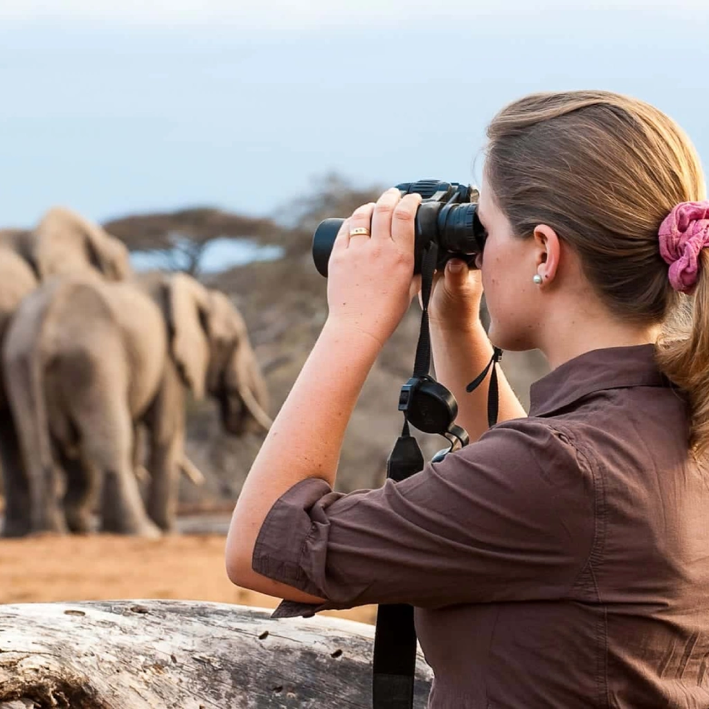 7 Days Savannah Footsteps Safari Attractions