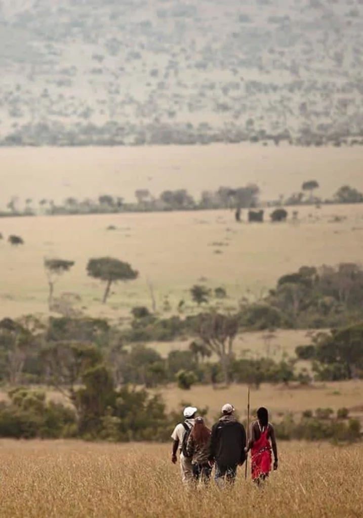 7 Days Savannah Footsteps Safari Attractions