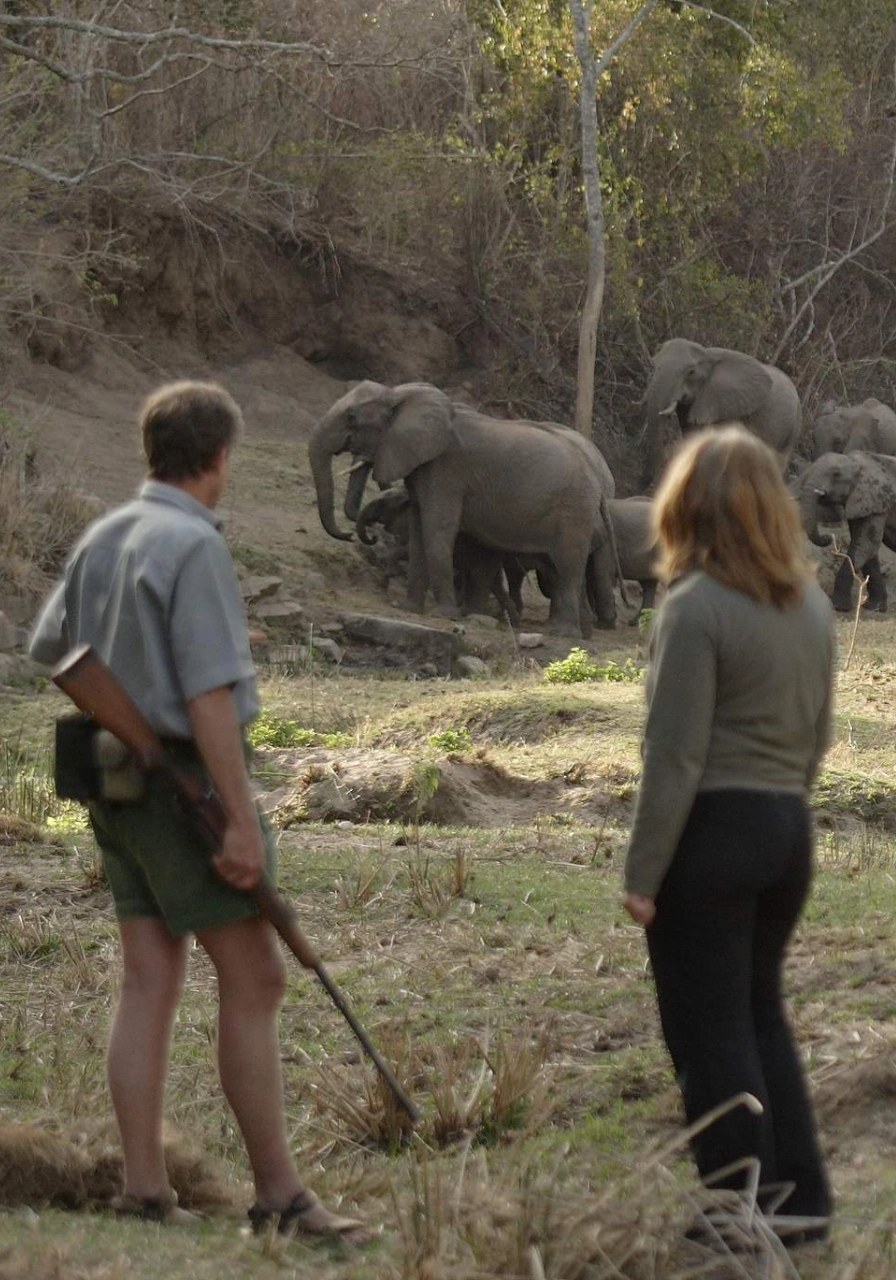 7 Days Savannah Footsteps Safari Attractions