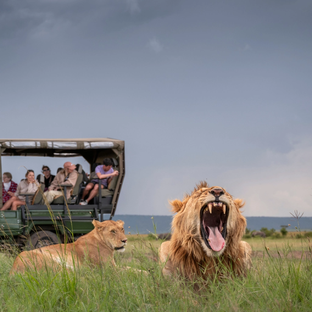 8 Days Heritage Classic Safari Wildlife